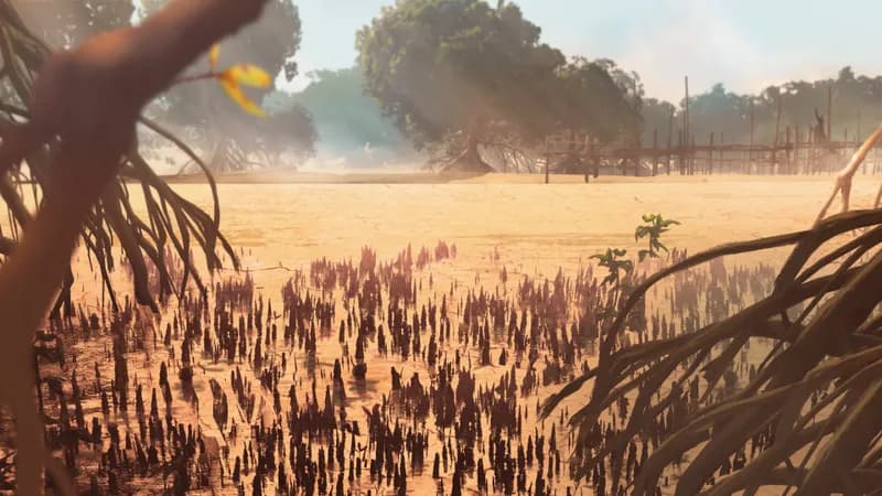 Mangrove Forest map, Drought Day variant
